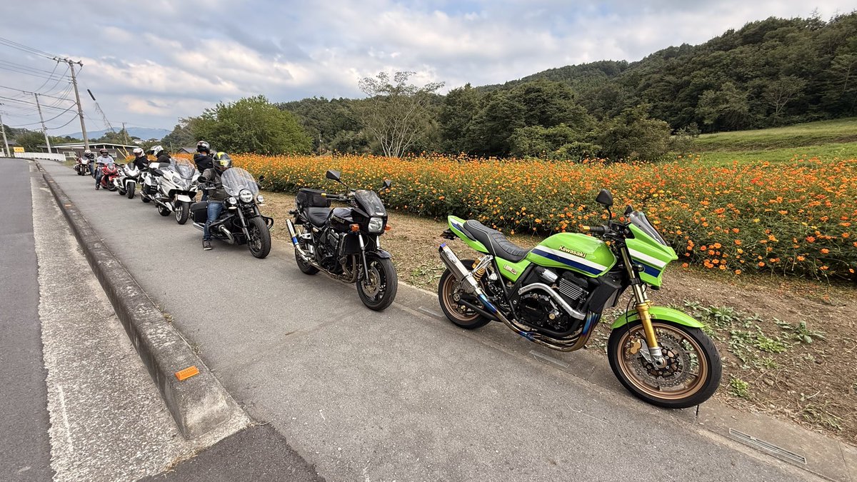 NS400SRC's tweet image. 黄花コスモスが綺麗に咲いてたのでパシャ🌼📷🏍️
秋を感じながら走ってます💨
#SagamiRidersClub 
#相模ライダースクラブ
#SRC
#黄花コスモス
