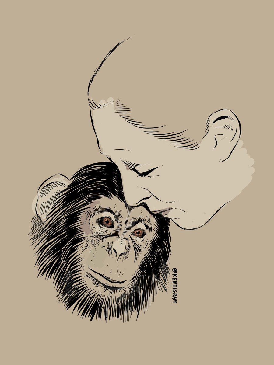 kentigram's tweet photo. rip #janegoodall #RIPJaneGoodall https://t.co/27lv0tkPmN