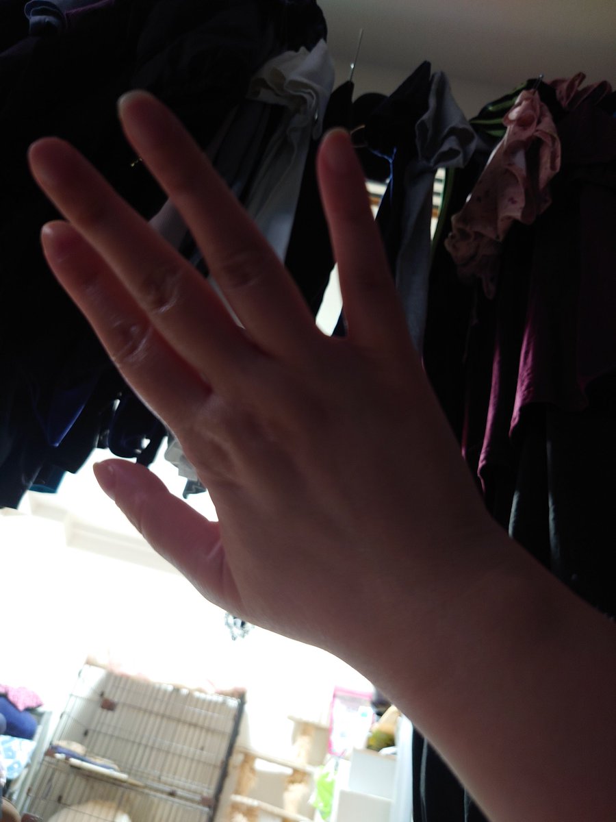 そらかか🐈⬛🐈🐾@ファボ魔RT厨/特撮アニメ系Vライバー tweet media