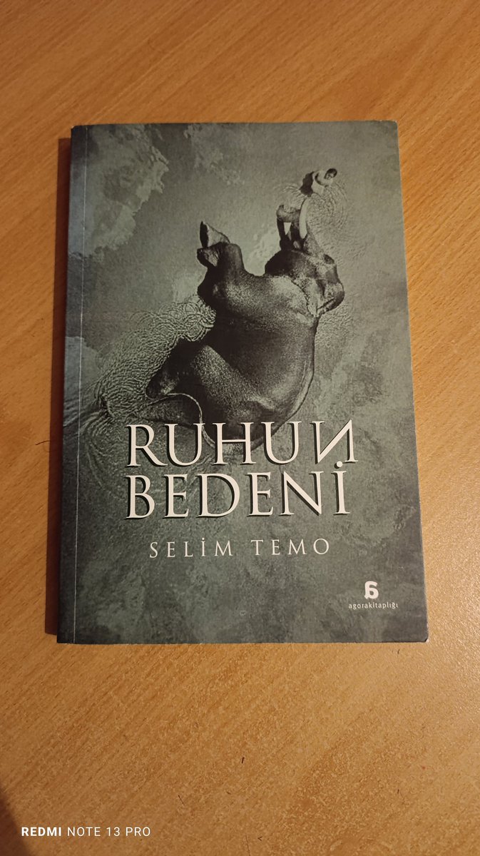 🖍️"Ağır ağır olgunlaşır üzüm ve buğday
Gün sessizce battığı vakit,
İyi de hazır kötü de"(s,104)