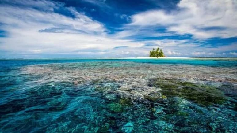 NDTVFood's tweet photo. Tuvalu, The World's Least Visited Country, Promises A World Away From Tourist Crowds
https://t.co/Tc2GPwNZvC
#tuvalu #travel #Funafuti https://t.co/4YCNCmJXZA
