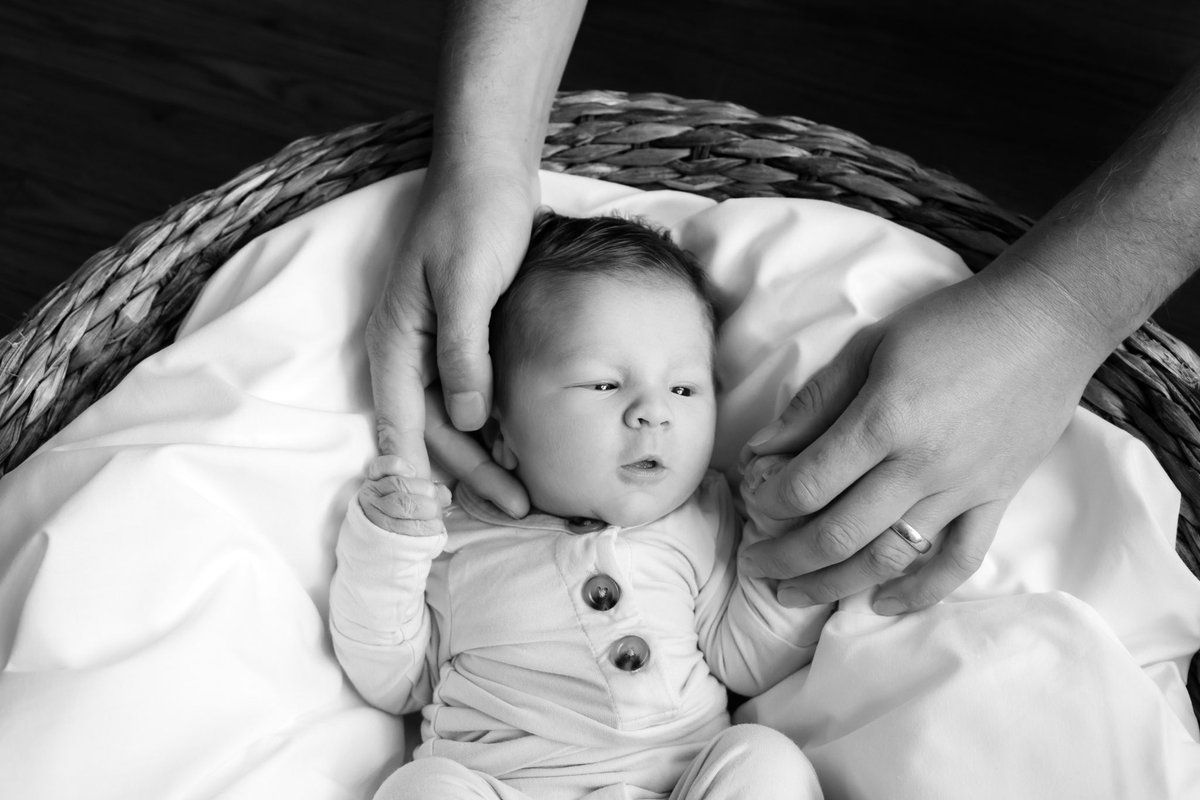 Jordan Anderson tweet media