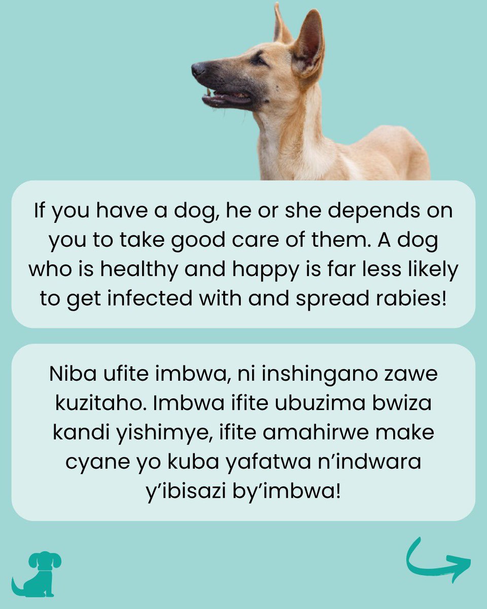 WAG Rwanda tweet media