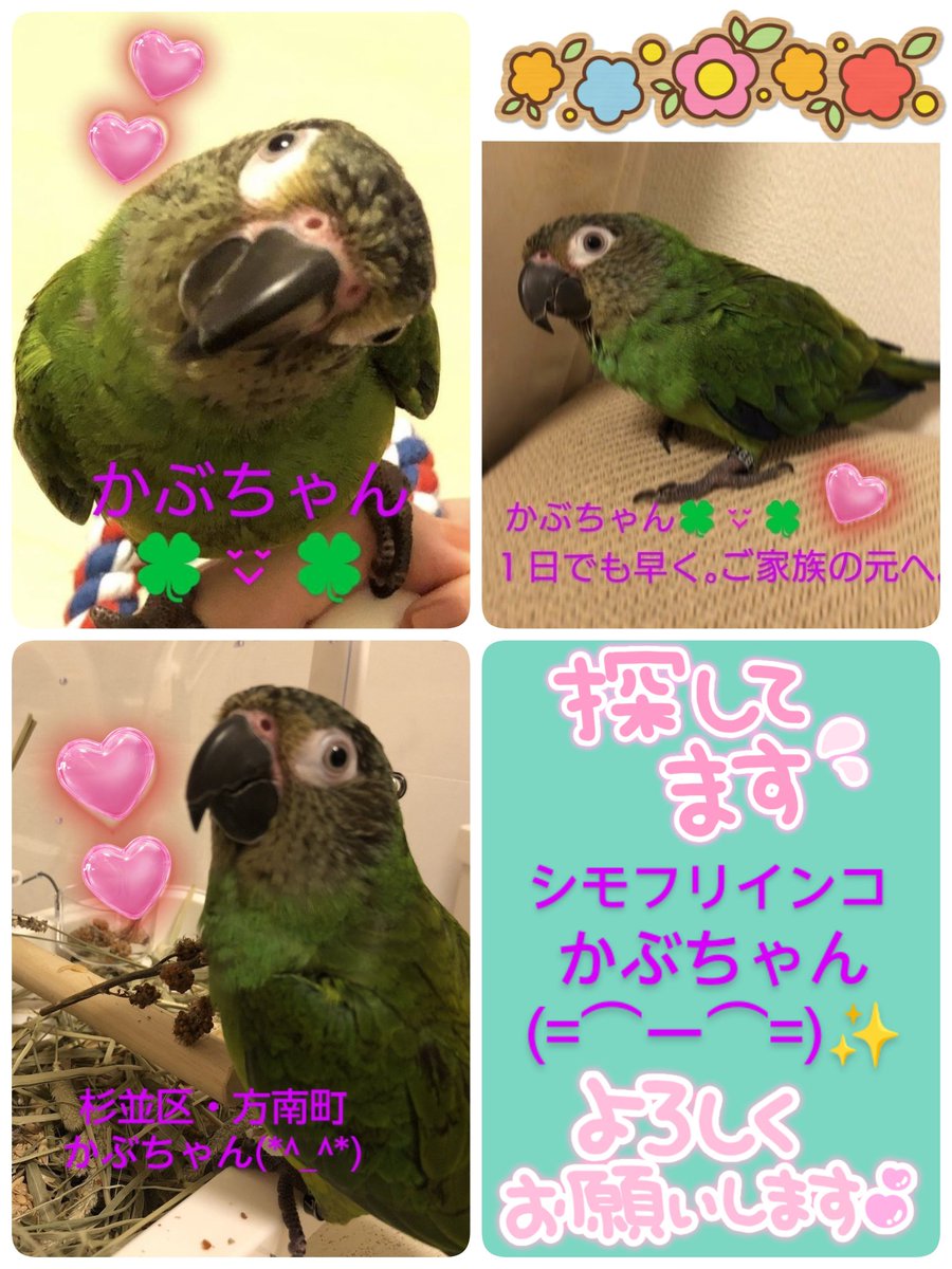 ❤︎ページ ハートデザインカーディガン | | Jacadi Paris＜ジャカディ