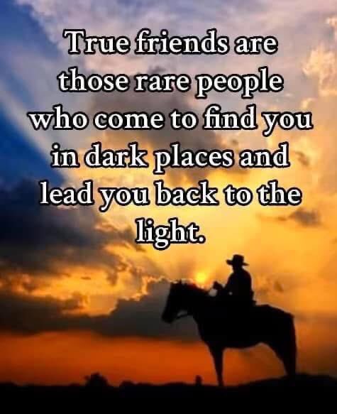 Mark Fenton tweet media