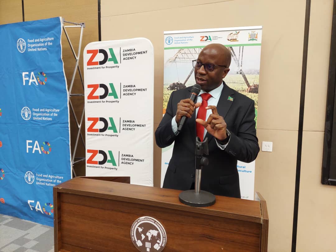 FAO Zambia tweet media