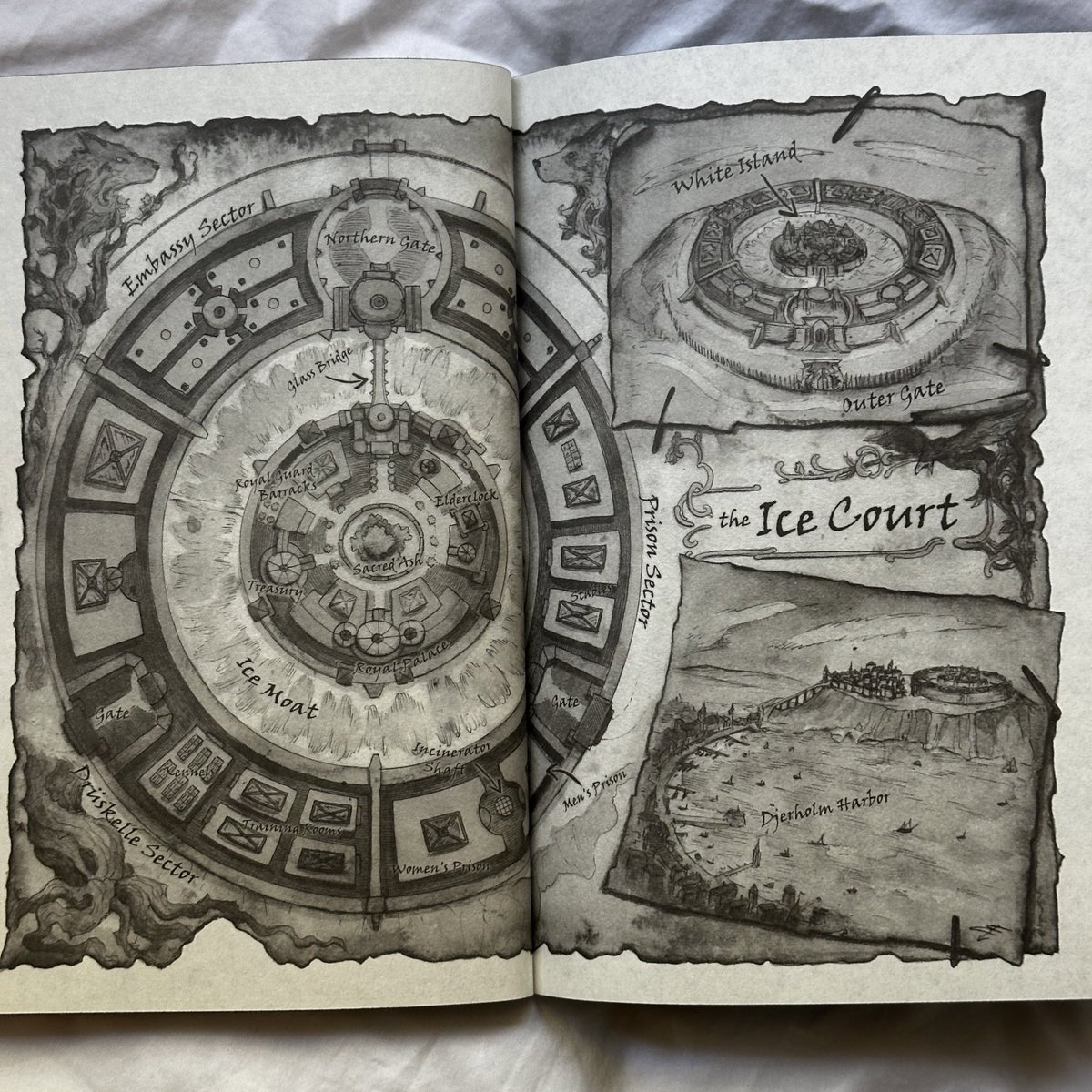 ghafaera's tweet photo. obsessed with the new maps they’re so detailed and pretty 😭 https://t.co/FoQjU8qU3H