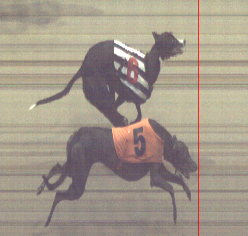 Hove Racing Office tweet media