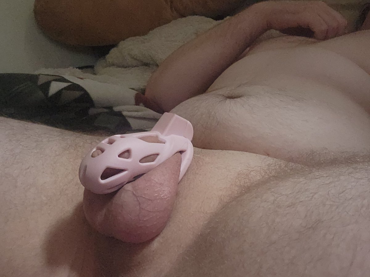 Dumb Bull 🔞🐮➡️FURLANDIA tweet media