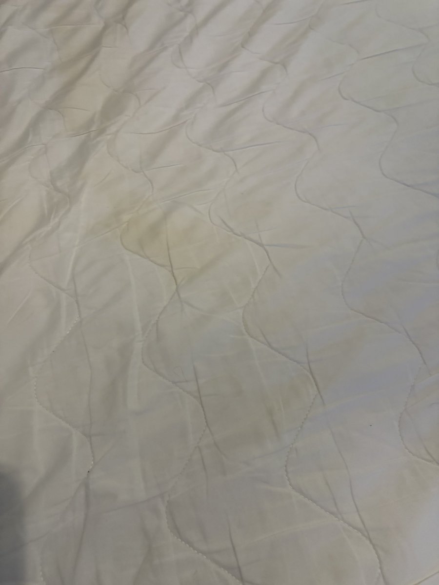 DoricPhrases's tweet image. 🤮 Gawds min!!
Fin ye strip the flechie aat the #vrbo hame let ye’ve slept in a discover yer Superhost’s hygiene isnae sae super! 
I hope the mockit stains are tea!