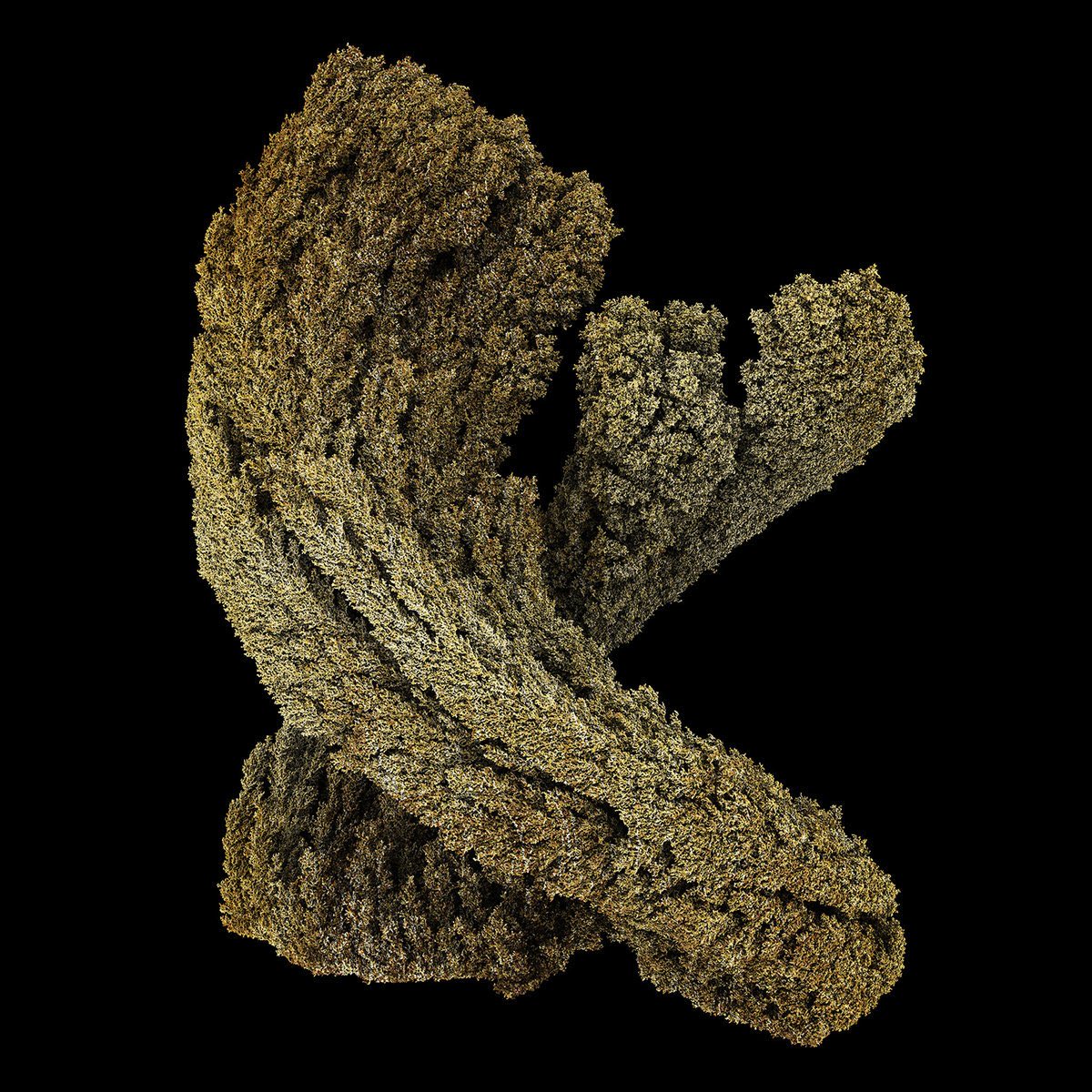 𓆸 Bob Smith 📿𓃸 tweet media