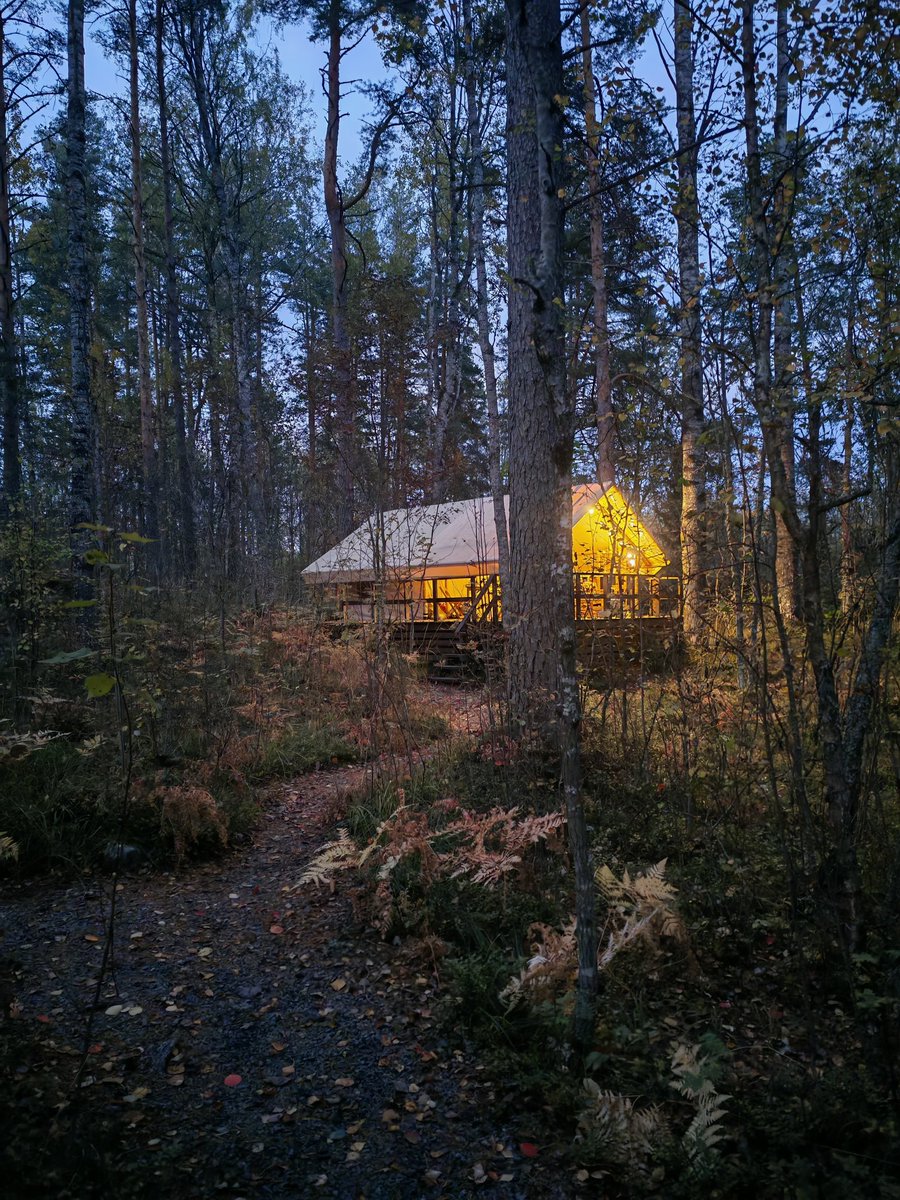 Верилий tweet media