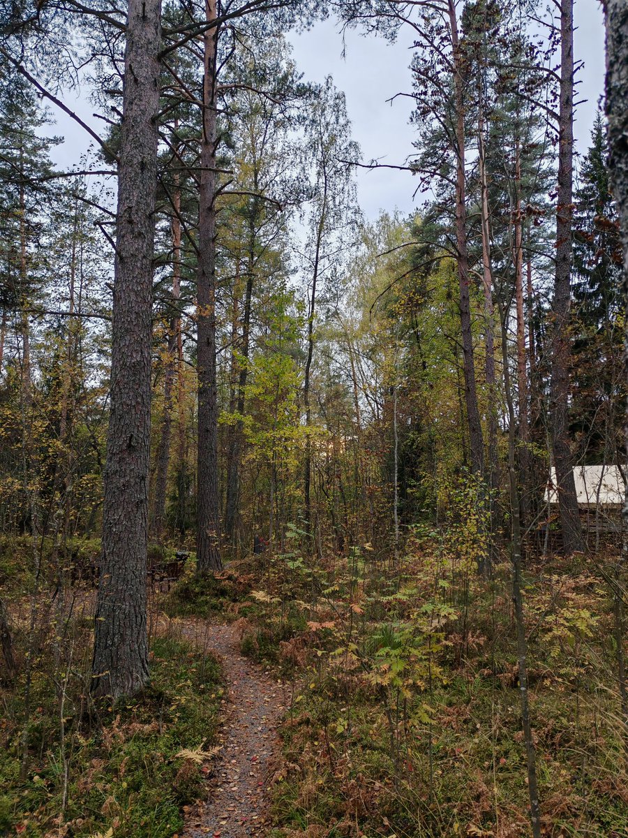 Верилий tweet media