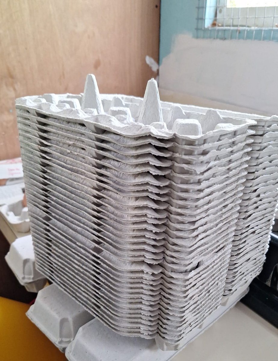 ReWildCaribbean's tweet photo. The MCRP team is currently seeking cardboard egg boxes &amp; cardboard for the Live Feed Breeding Insect Facility. These recycled materials are vital for creating space and enrichment.

#InsectCare #Conservation #InsectFacility 

Read More: https://t.co/aHNqJFXJmM https://t.co/M3T76QZsBK