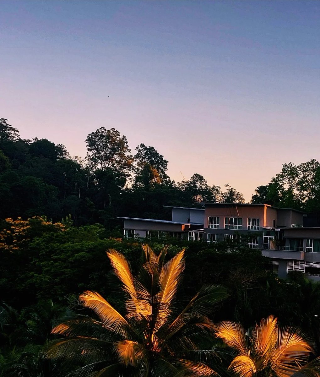 "The fictive ones, the far gold
of a rain-blessed prison,
where people play to live,
and sentences seem gentle
and so on." 

Here, researching, reimagining, invoking spirits for a special project – one woman, one room, and the mind's potential...

#nationalpoetryday #goldenhour