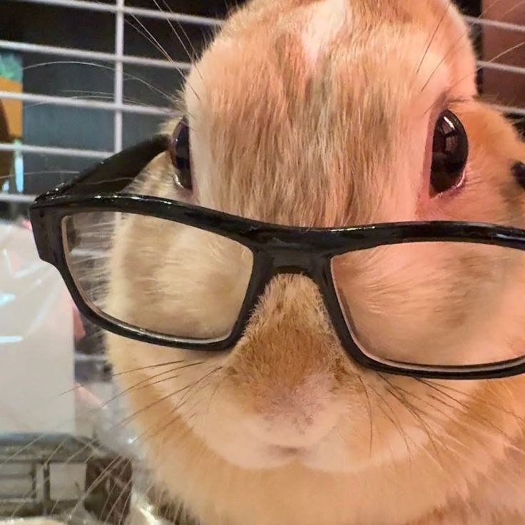 GreenLock🇷🇺 tweet media