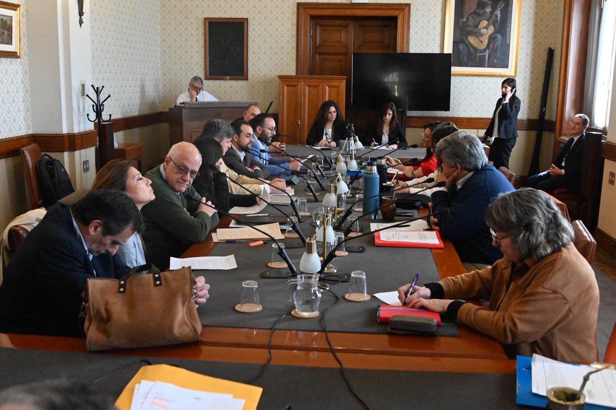 Carlos Daniel Camy tweet media