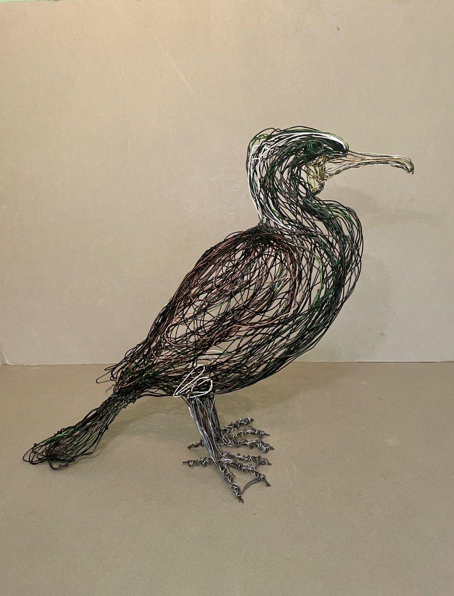 PaulGreenWire's tweet image. I’ve been working on this “continental “ Cormorant for a couple of weeks now.Freehand using various Copper and Iron Wires .⁦@Natures_Voice⁩ #wirebirdsculpture #freehand #wireartist #cormorant #birdart #sculptor #wire #birdlover #art