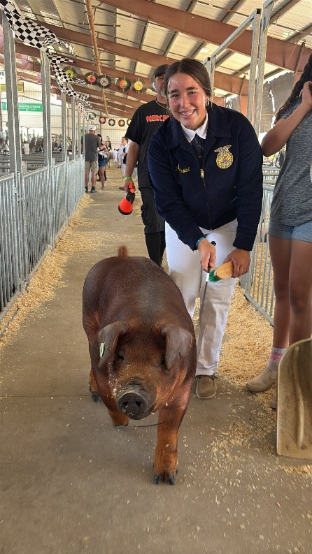 Merced_CA_Fair's tweet photo. Honoring the hard work and heart of our farms today. Let's celebrate the lives of the livestock that sustain our world on #WorldFarmAnimalDay! https://t.co/rsVa0kHJpQ