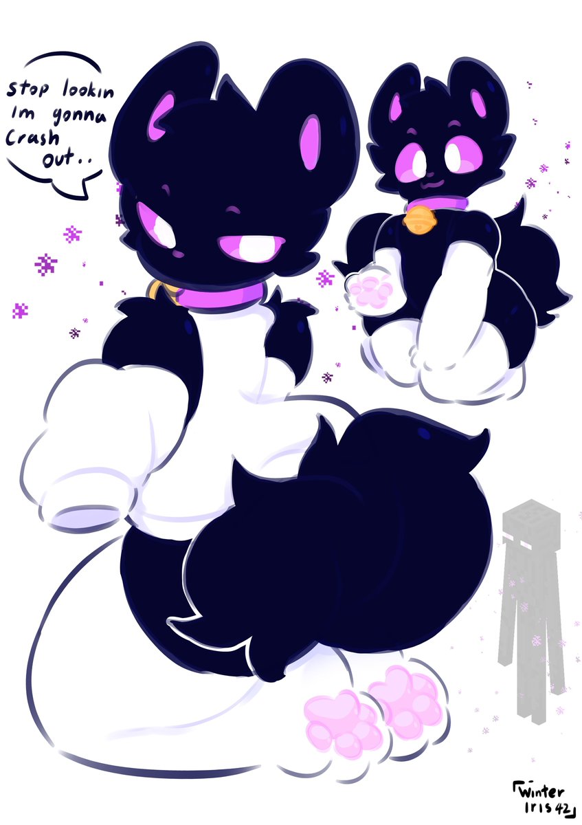 The endercat coming to steal your blocks