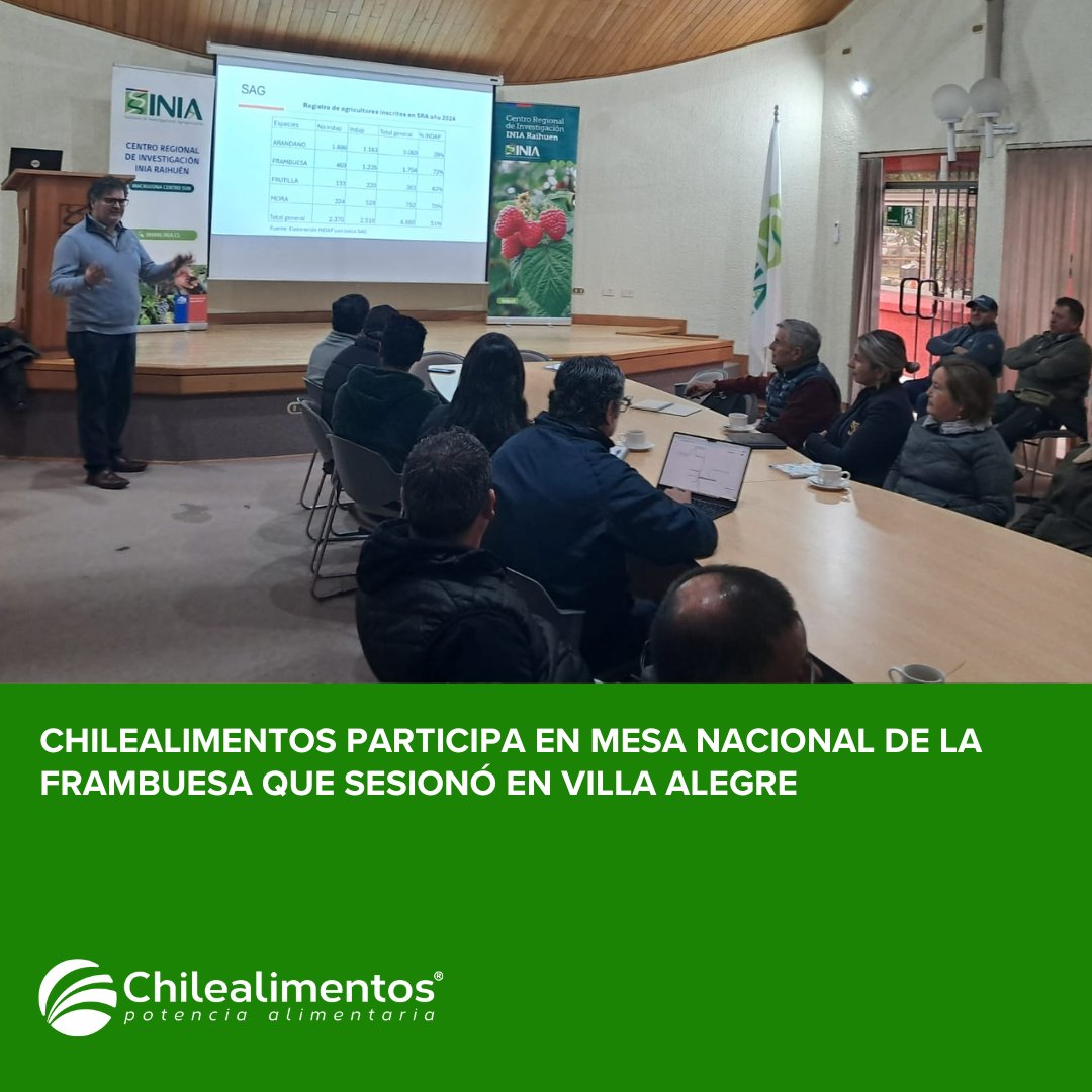 Chilealimentos tweet media