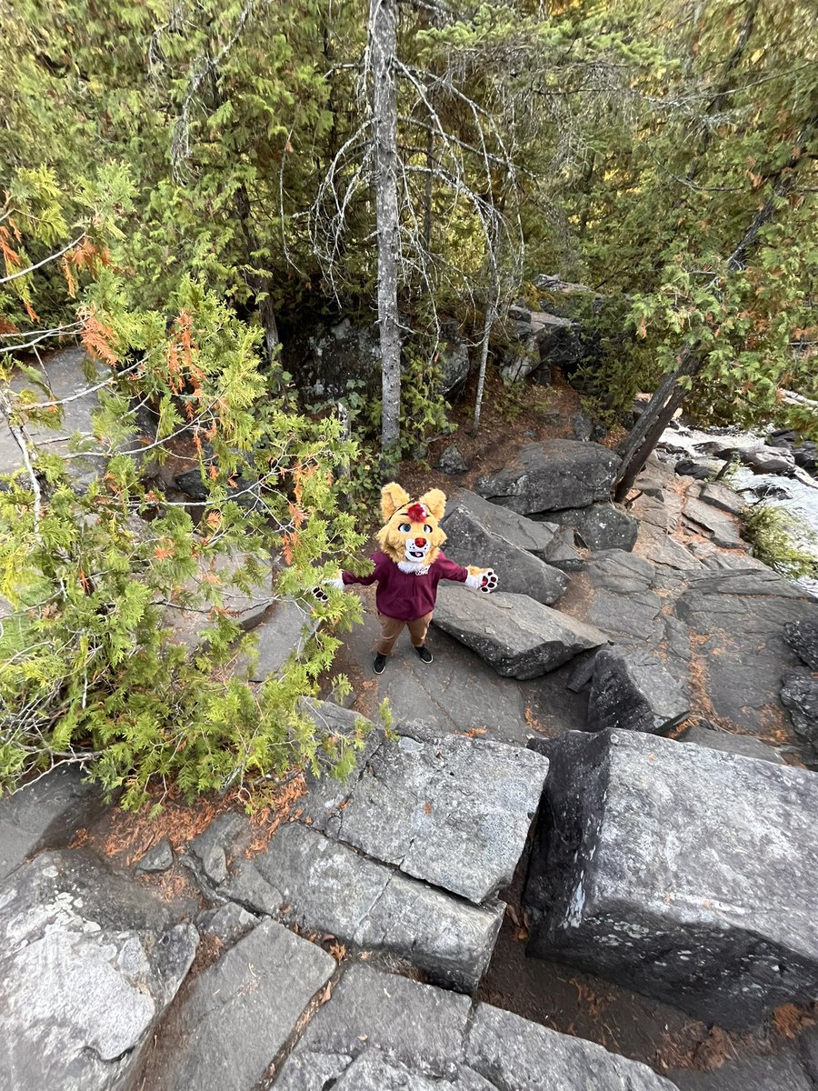 Perpetually stuck in a “where my hug at?” Stance when posing in suit 
📸<a href="/ItsTrask/">Trask</a> 
#furry #fursuit #fursuter