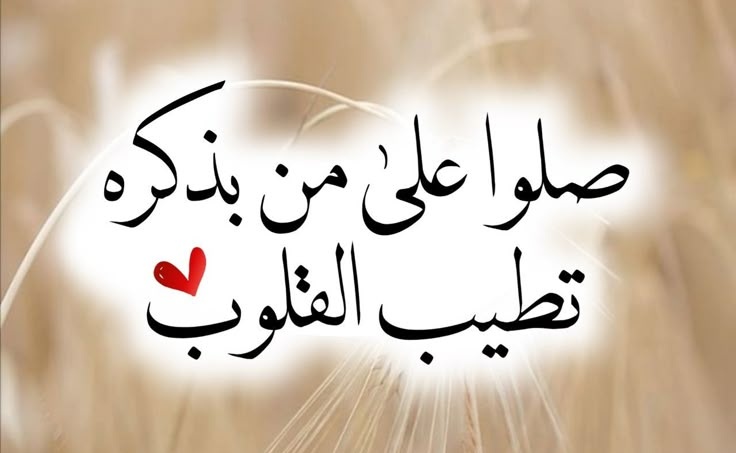 🫒 ريم 🇹🇳 نسائم قرطاجية🇹🇳 🫒 tweet media