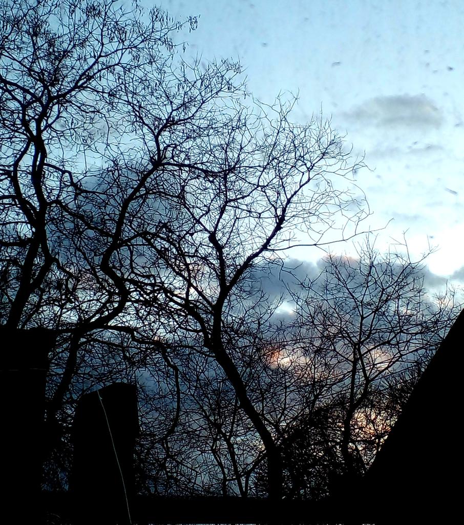 Катерина Галич tweet media