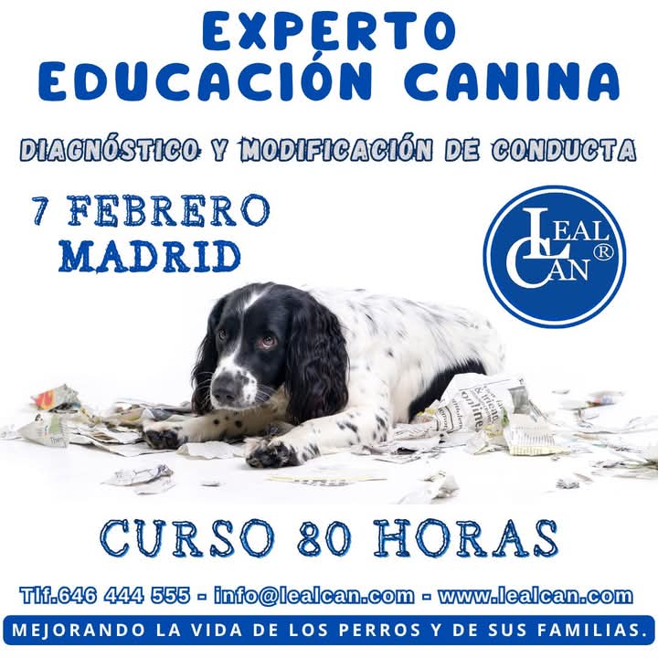 Información.↙️ lealcan.com/curso-de-exper…
