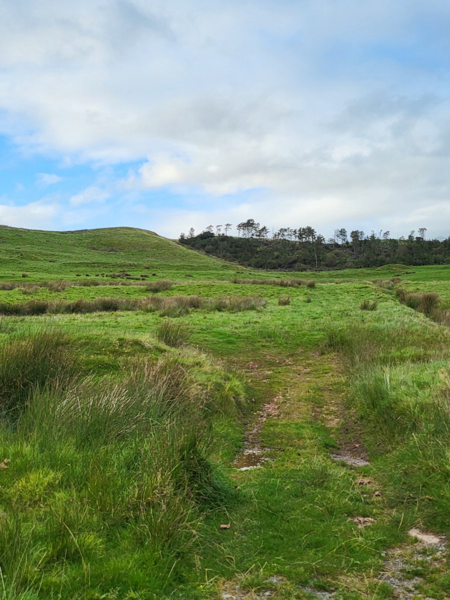 Favourite haunts of #DumfriesandGalloway #2 #Burnswark hill and forts, near Ecclefechan