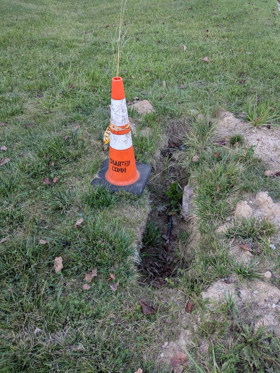 Magnious tweet media