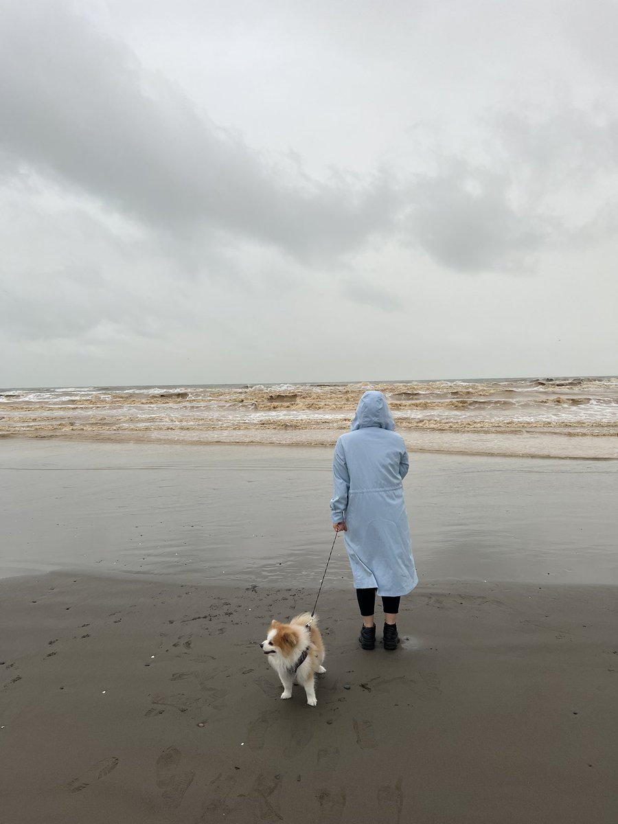 براتون عکس توییتری هم گرفتم. ولو با دریای کثیف 😎😎😎ببینید دیگه چقدررر به فکرتونم😾این سگ هم همش داشت خودشو میکشید به سمت همسرم و این مدلی بود که: زنیکه ولم کن،من چرا اصلا باید تو عکس تو باشم... بذار من به معبودم برسم.🤦‍♀️