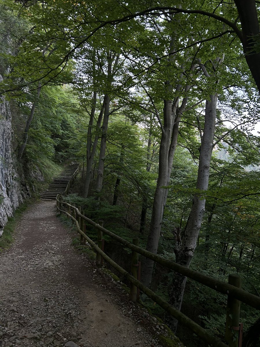 rubedabarniol's tweet image. La sort de poder dir casa a aquest lloc de món