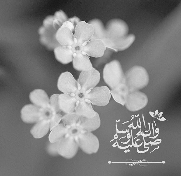 ↴' #مرحباً اسعد الله ايامكم ❁♩☕️❥ 
.
 #مساء_الخير  ✨🌸
#صباح_الخير 
#الجمعه 
اكرموا انفسكم و
#صلوا_على_الحبيب_محمد_ﷺ💚
✨

#اسطول_زعماء_تويتر ✨👌🏼
#زعماء_تويتر_للتبادل✨👍🏻
✔️✔️✔️✔️✔️✔️✔️✔️✔️
.

.
#رسالة_لقلبك  ✨❤️

——-🪭