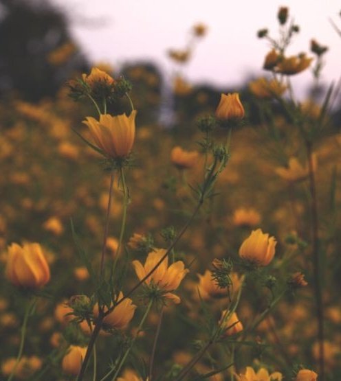"Sen misin yanyana gezemediğim?
İnce sitemini sezemediğim
Sırrını bir türlü çözemediğim
İçimdeki çetin sual sen misin?"

Yavuz Bülent Bakiler