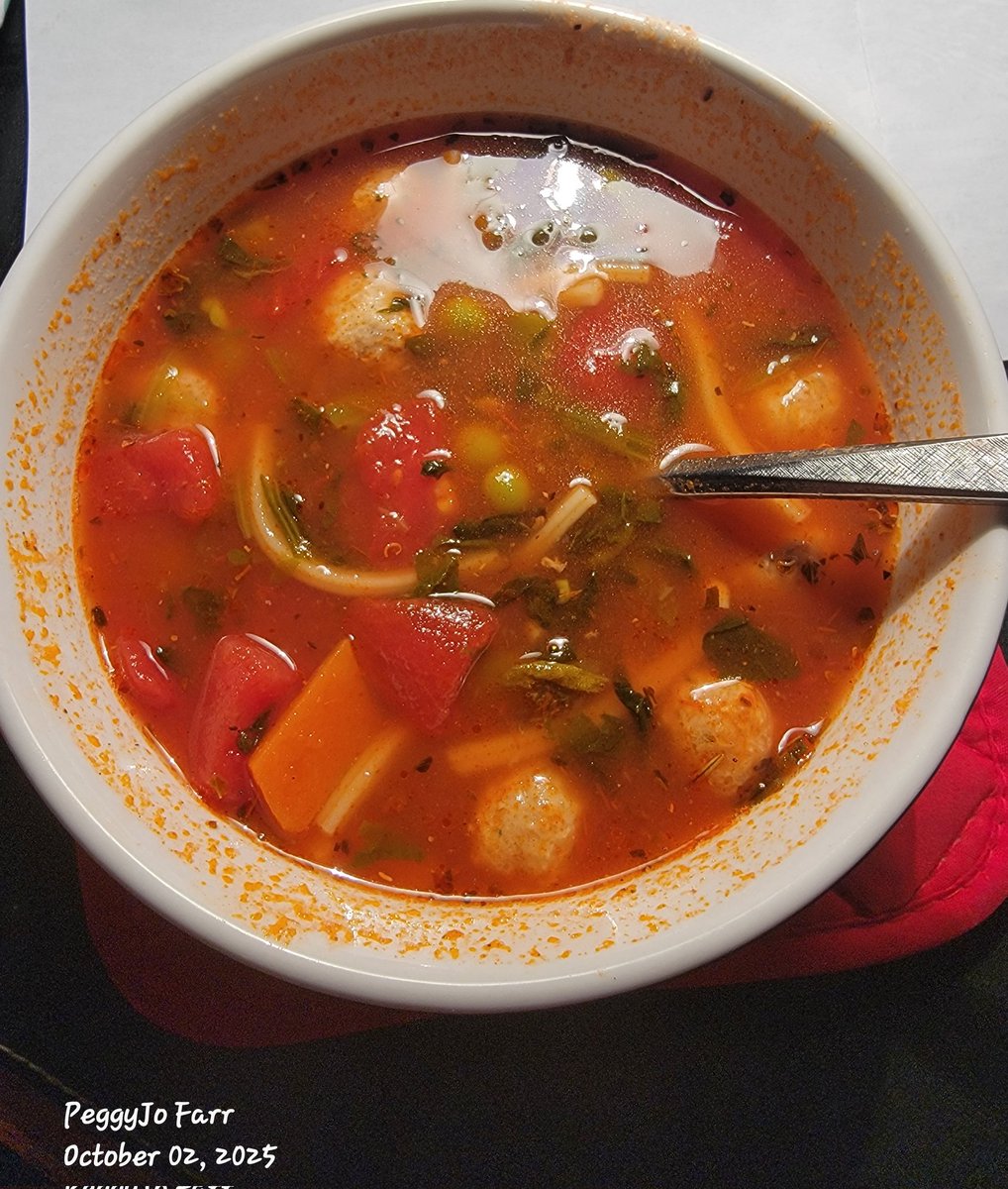 PeggyJoFarr2's tweet image. Soups on! Packed with vegetables, mini meatballs, and noodles! Deliciousness!😋
#soupson 
#vegetablesoup