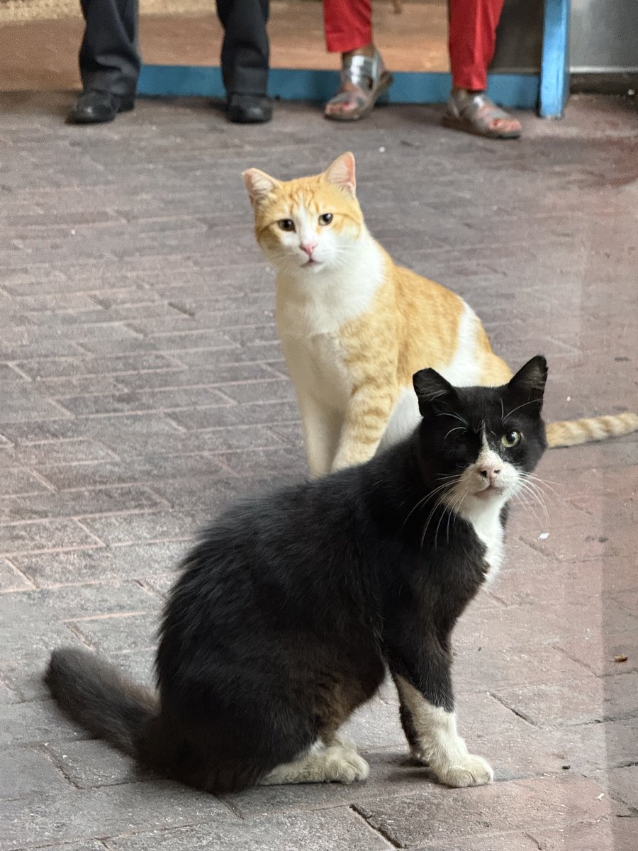 היא אמרה לך לשים ציזיקי איפה??