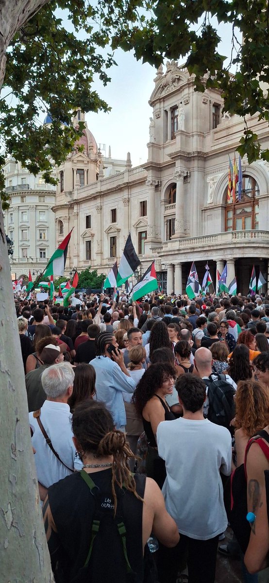 València. #stopgenosideingaza