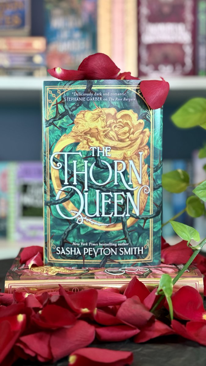 Wed to one brother.
In love with the other.

Forbidden love, deadly bargains, and sharp intrigue await in The Thorne Queen!👑