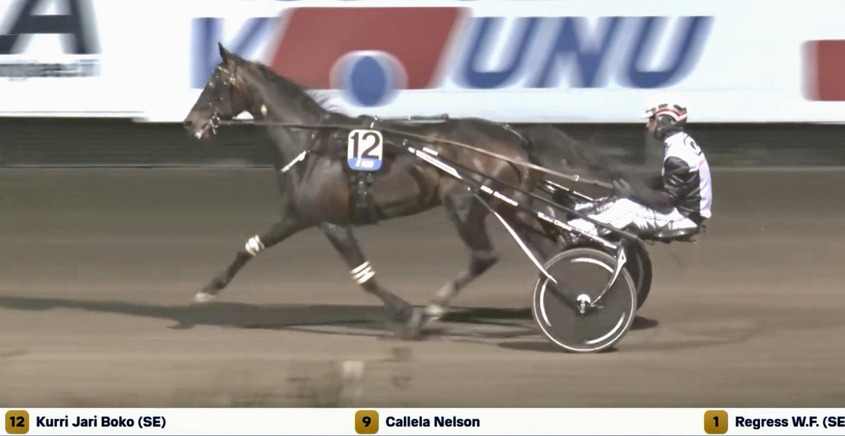 Kurri Jari Bokon ura Suomessa on hieno huolimatta siitä, että kahdesti ori on joutunut olemaan sivussa vuoden isojen loukkaantumisten vuoksi.

32 starttia, 12-7-6, rahaa n 145 000€

Jossittelu kuuluu lajiin eli iso määrä palkintorahoja on jäänyt saamatta epäonnen myötä.

#Ravit