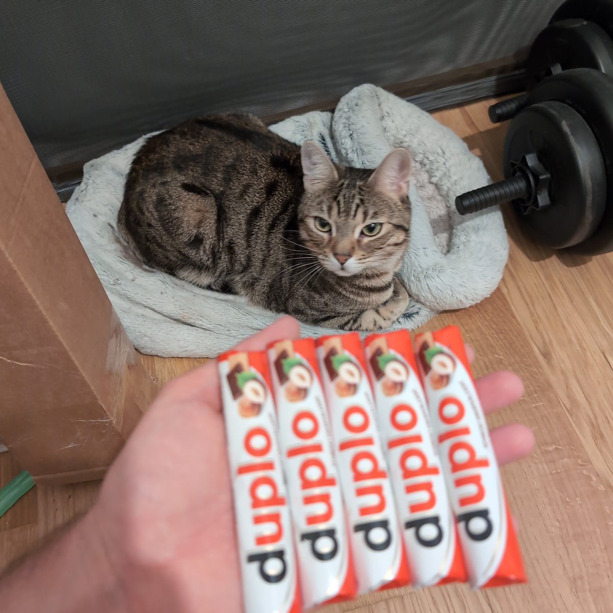 Flow💫 tweet media