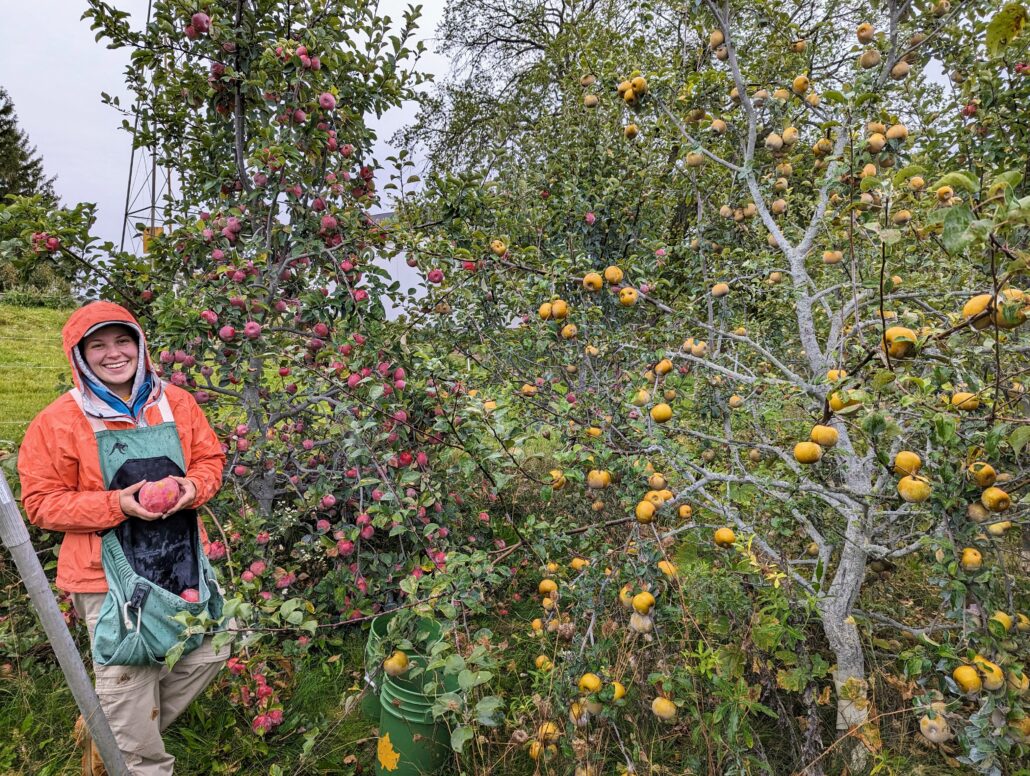 Fall is the time to shine for the Riveredge Farm! 

-Take a tour of our sustainably designed permaculture farm: Wed, 10/8 at 5:30pm
riveredgenaturecenter.org/event/riveredg…

-Visit us at the Port Washington Farmers Market on 10/11, 10/18, and 10/25!