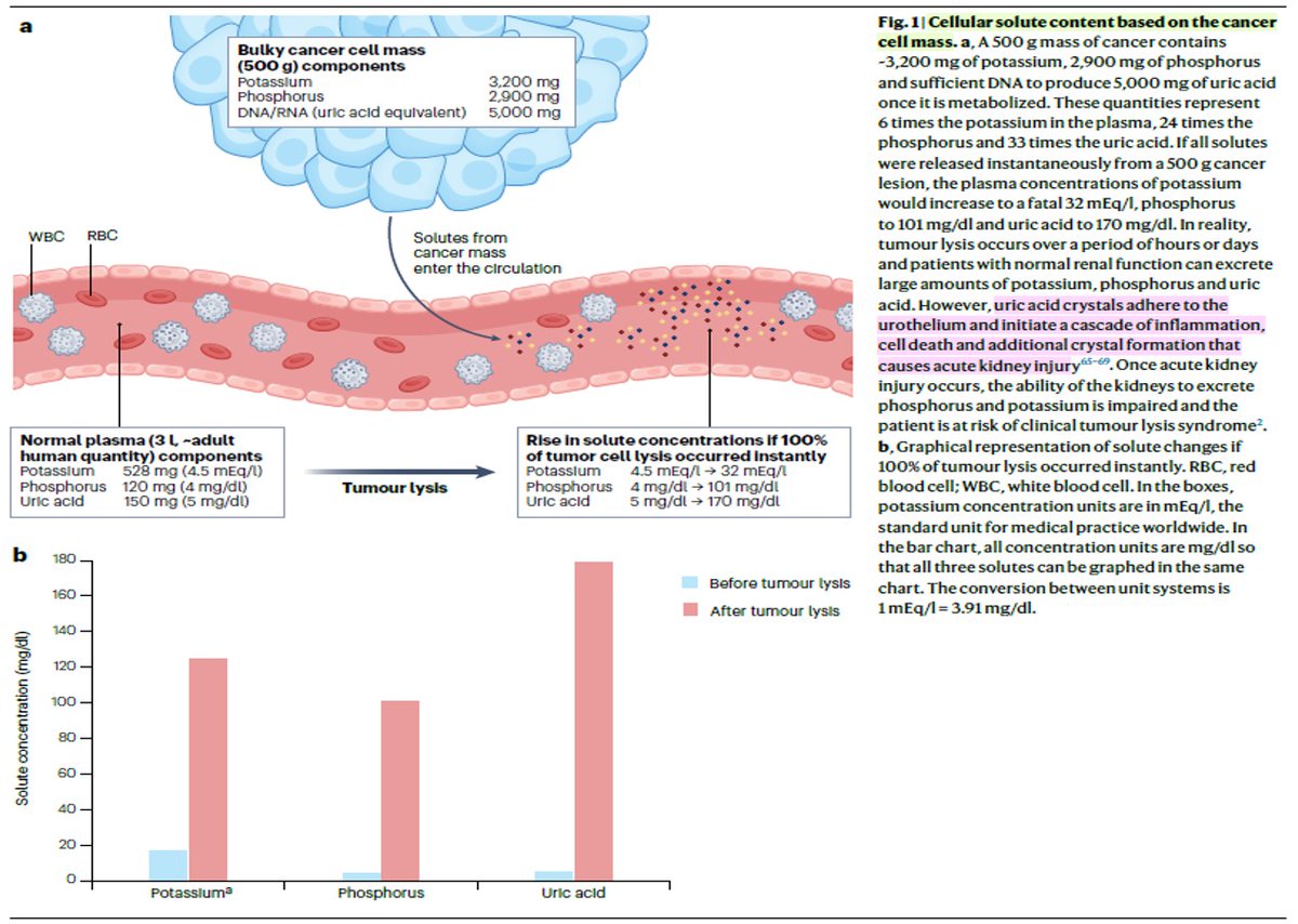 Nefro_Tweets tweet media