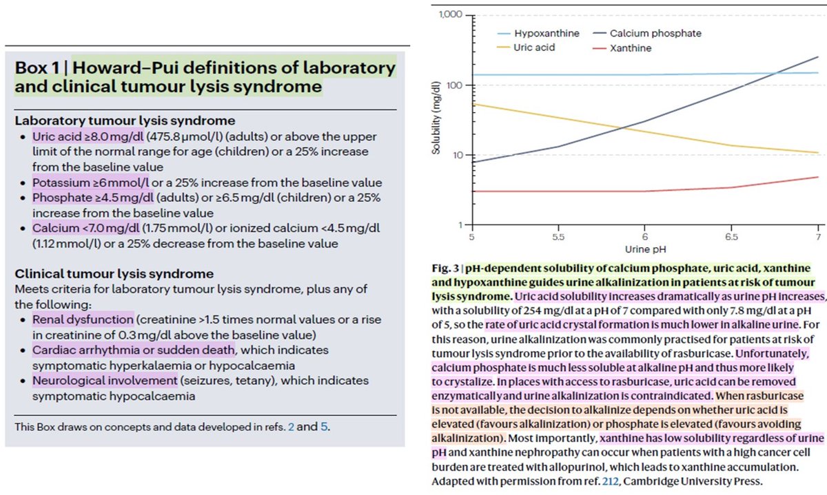 Nefro_Tweets tweet media