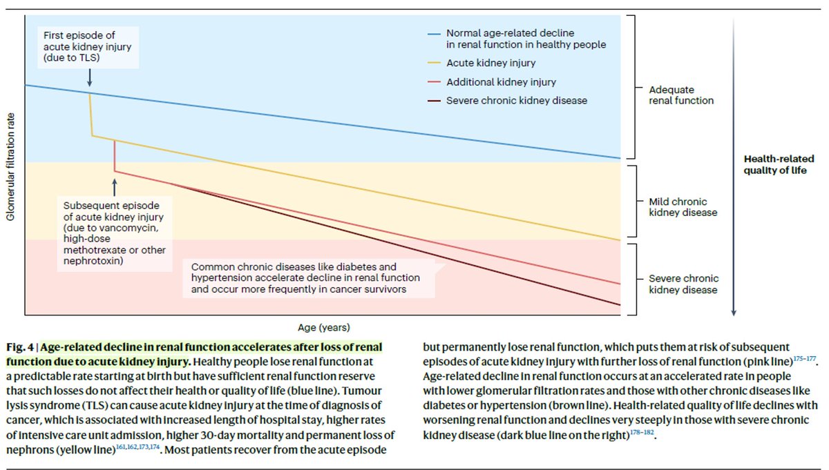 Nefro_Tweets tweet media