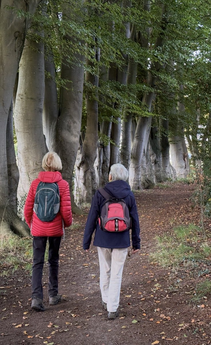 liep vandaag met twee zeer kwieke 80plussers een van de routes voor de nieuwe Twentse wandelgids die begin volgend jaar op de markt komt🥾🙌🏻
#OpiTw #Weerselo