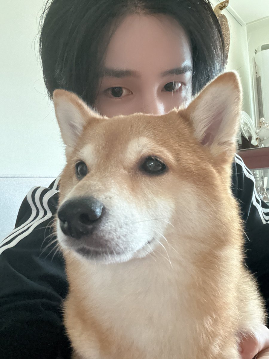 and_serim's tweet photo. 올해 설에 못봤으니까
레오랑 추석엔 만나서 사진 찍어주면 좋겠다♡‧₊ ˚ https://t.co/rkA0cimOw3