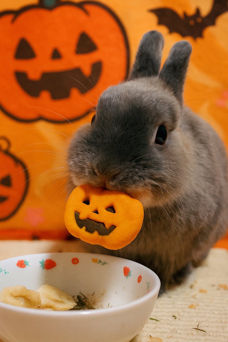 ハロウィンのかぼちゃをかぼちゃ🎃を食べる永遠♾️ちゃんです