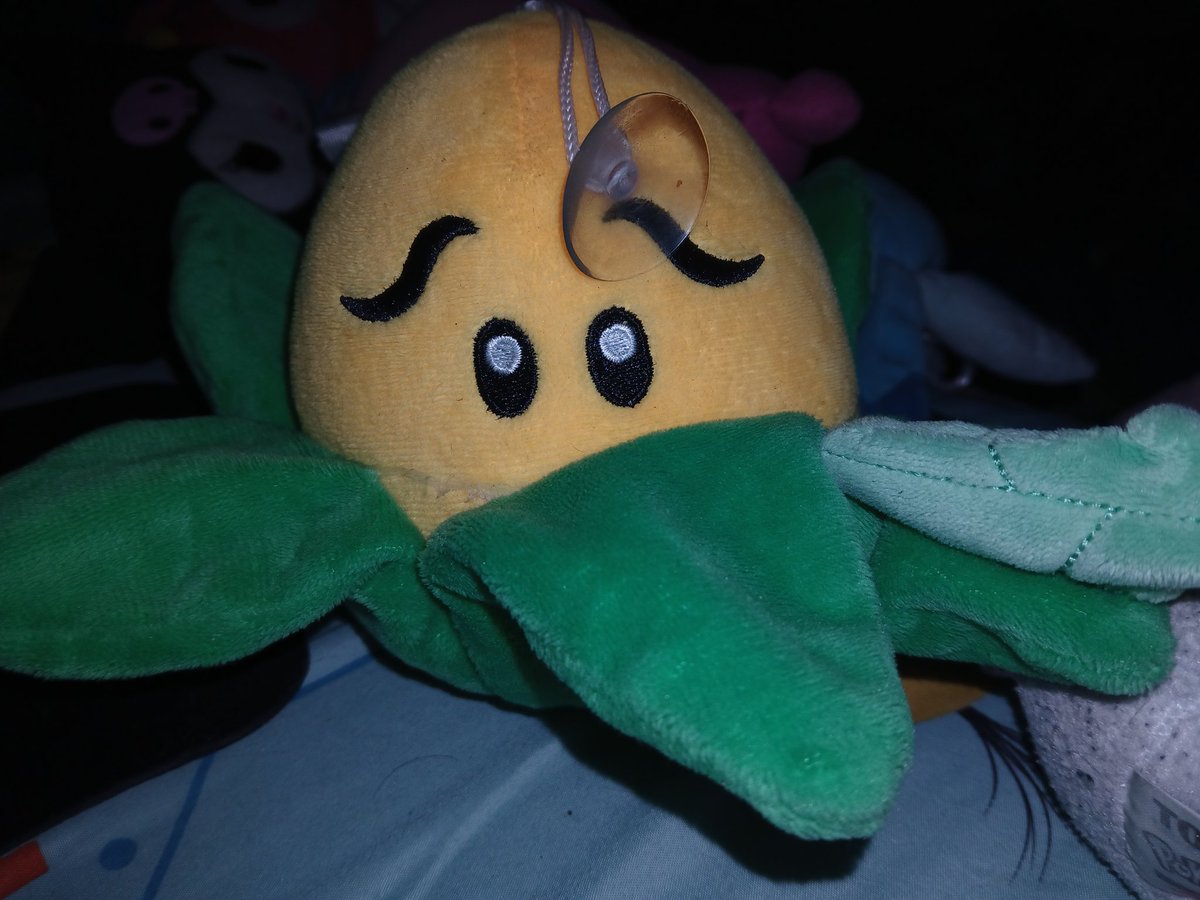 loogy_maren's tweet photo. @PlantsvsZombies my only piece of merch but he's my most prized possession simply for just existing #PvZCollection https://t.co/BxRvoJFWP1