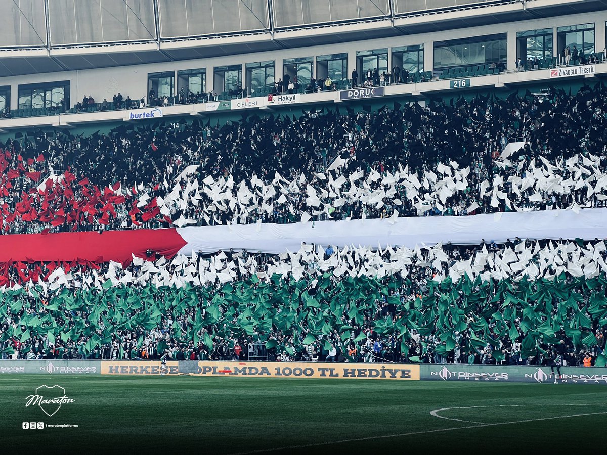 Liberta Palestine 🇵🇸 #sumudforGazza